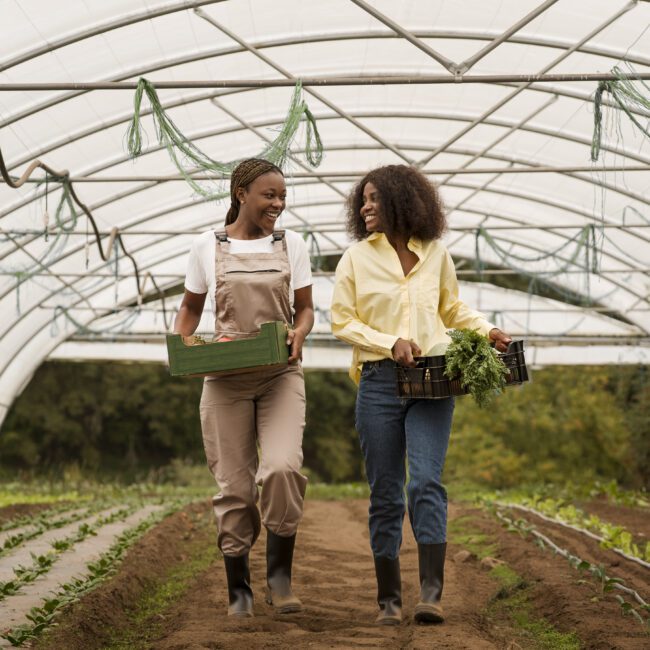 full-shot-smiley-women-working-farm